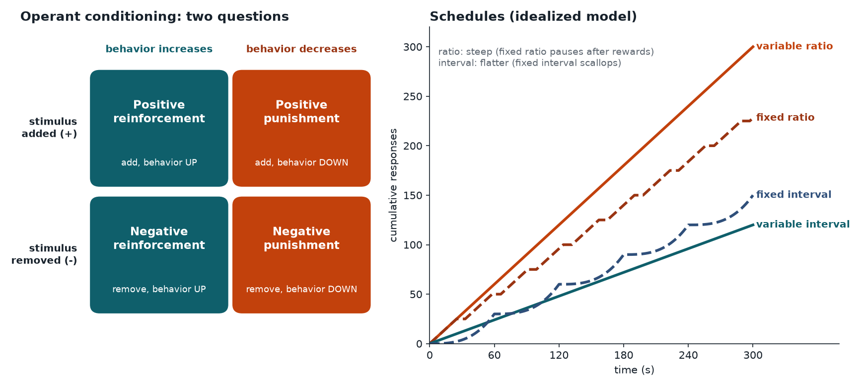 Operant conditioning grid and reinforcement schedule response curves