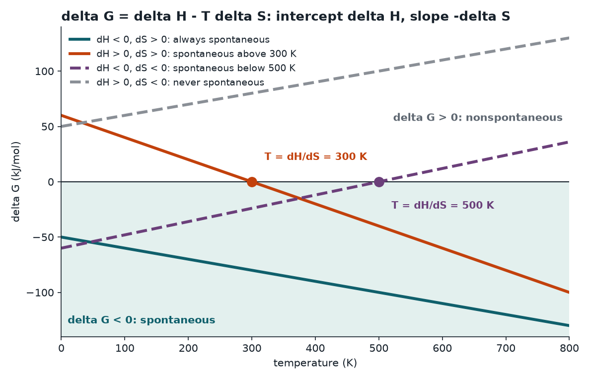 Delta G plotted against temperature for the four sign combinations of delta H and delta S, with crossover temperatures marked