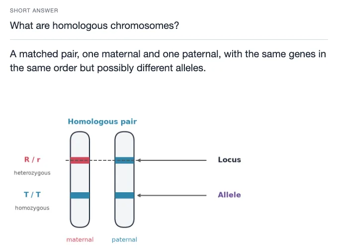 Sample card from Heredity, Population Genetics and Evolution, answer side