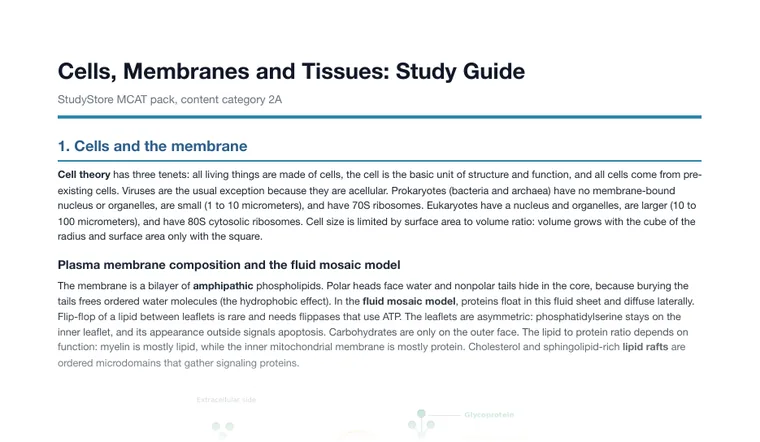Study guide, page 1 (partial preview)