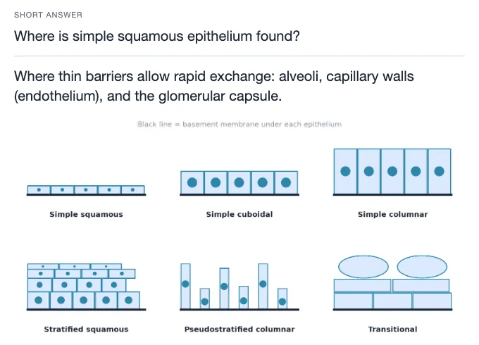 Sample card from Cells, Membranes and Tissues, answer side
