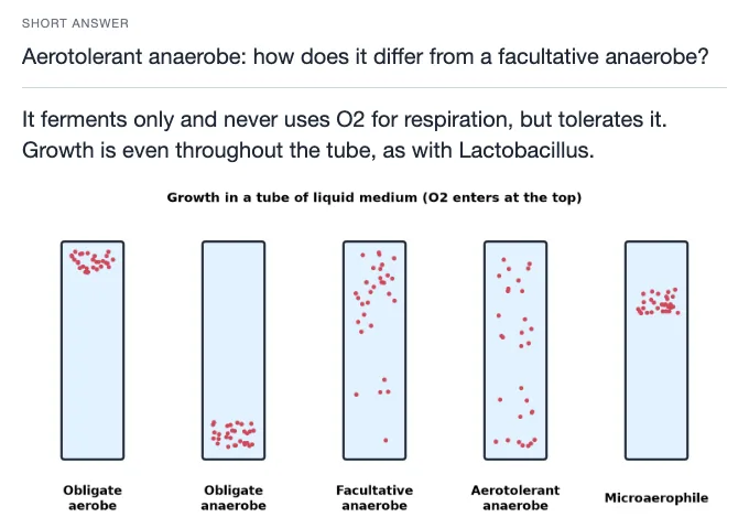 Sample card from Prokaryotes, Viruses and Microbial Genetics, answer side