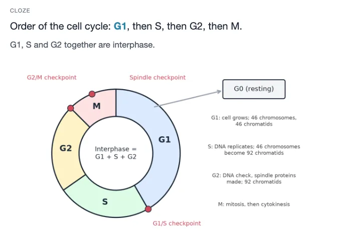 Sample card from Cell Division, Development and Reproduction, answer side