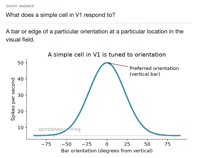 Sample card from Sensation and Perception, answer side