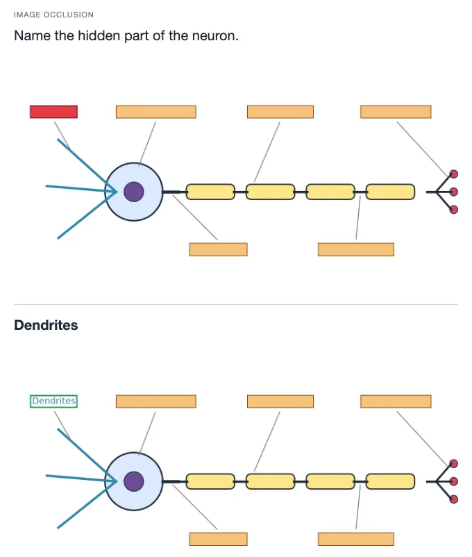 Sample card from Biological and Individual Influences on Behavior, answer side